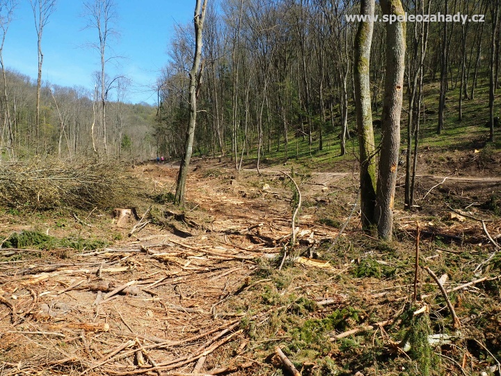 Moravský kras, Údolí Říčky, Švédův stůl - foto Kamil Pokorný